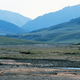 This grizzly is hanging out in the Arctic National Wildlife Refuge.